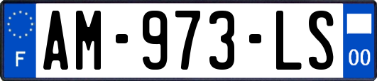 AM-973-LS