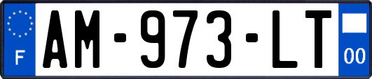 AM-973-LT