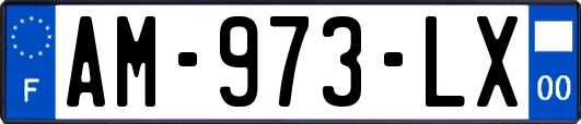 AM-973-LX