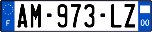 AM-973-LZ