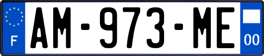 AM-973-ME