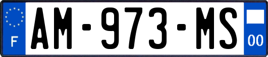 AM-973-MS