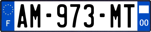 AM-973-MT