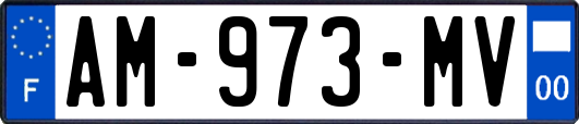 AM-973-MV