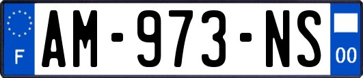 AM-973-NS