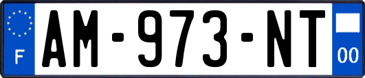 AM-973-NT