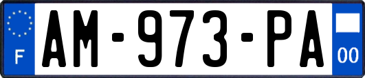 AM-973-PA