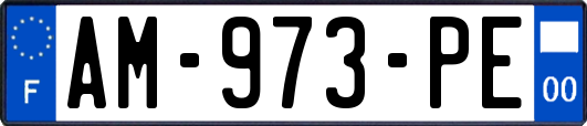 AM-973-PE