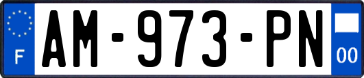 AM-973-PN