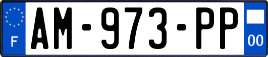 AM-973-PP