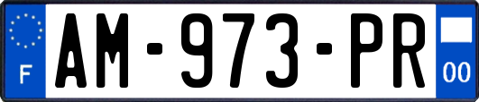 AM-973-PR