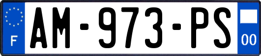 AM-973-PS