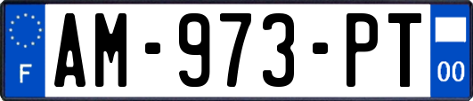 AM-973-PT