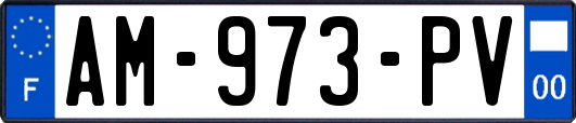 AM-973-PV