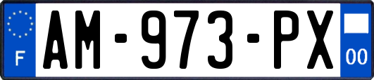 AM-973-PX