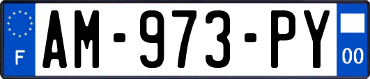 AM-973-PY