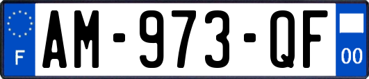 AM-973-QF