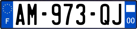 AM-973-QJ