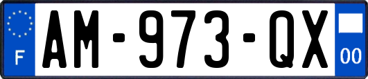 AM-973-QX