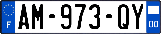 AM-973-QY