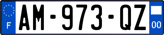 AM-973-QZ