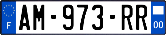 AM-973-RR