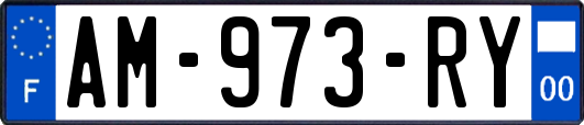 AM-973-RY
