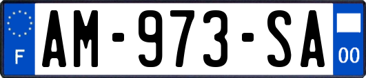 AM-973-SA