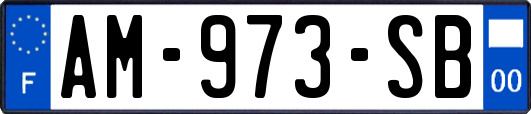 AM-973-SB