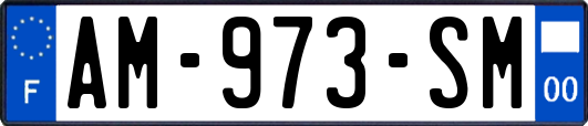 AM-973-SM