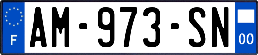 AM-973-SN