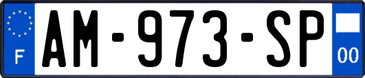 AM-973-SP
