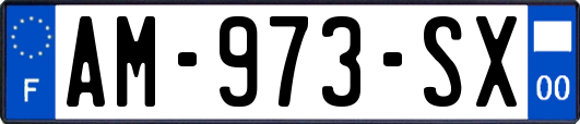 AM-973-SX