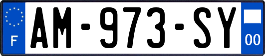AM-973-SY