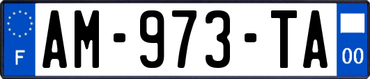 AM-973-TA