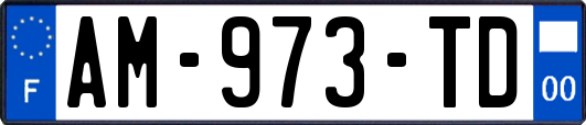 AM-973-TD