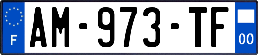 AM-973-TF