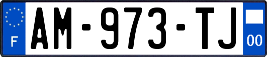 AM-973-TJ