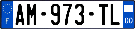 AM-973-TL