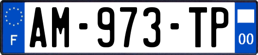 AM-973-TP