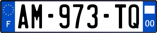 AM-973-TQ