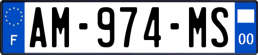 AM-974-MS
