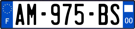 AM-975-BS