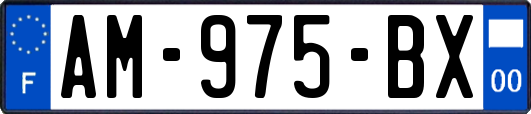 AM-975-BX