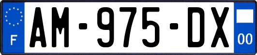 AM-975-DX