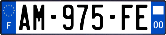 AM-975-FE