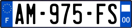 AM-975-FS