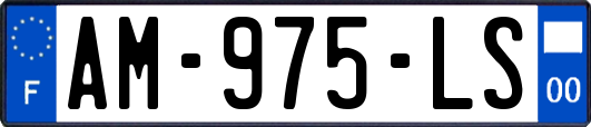 AM-975-LS