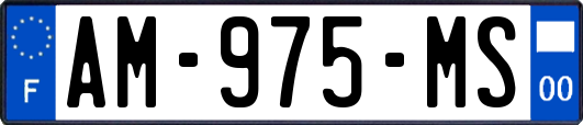 AM-975-MS