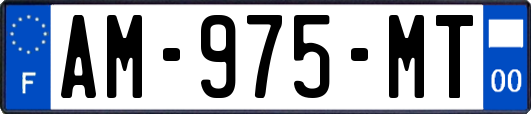 AM-975-MT